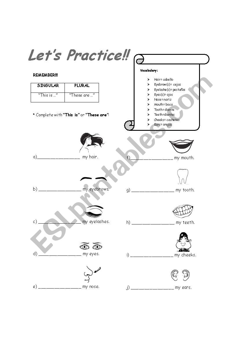 parts of the face worksheet