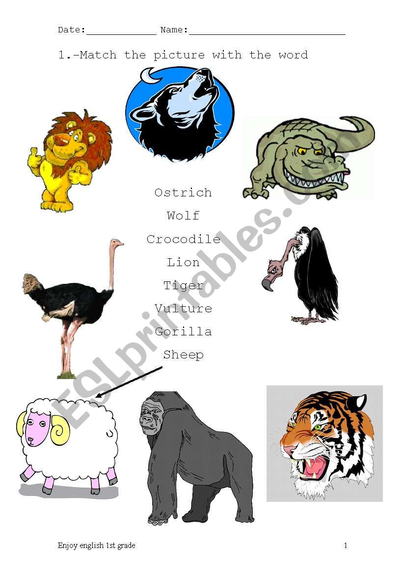 Animals worksheet