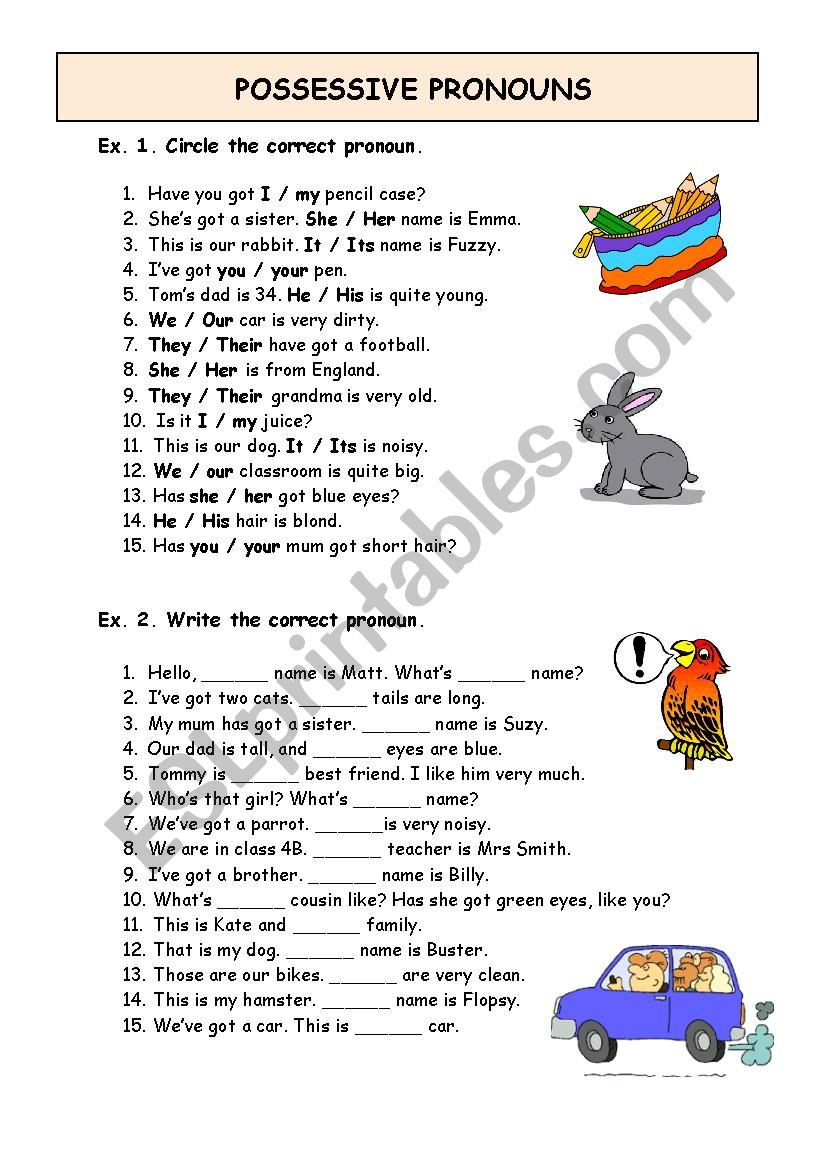 POSSESSIVE PRONOUNS worksheet