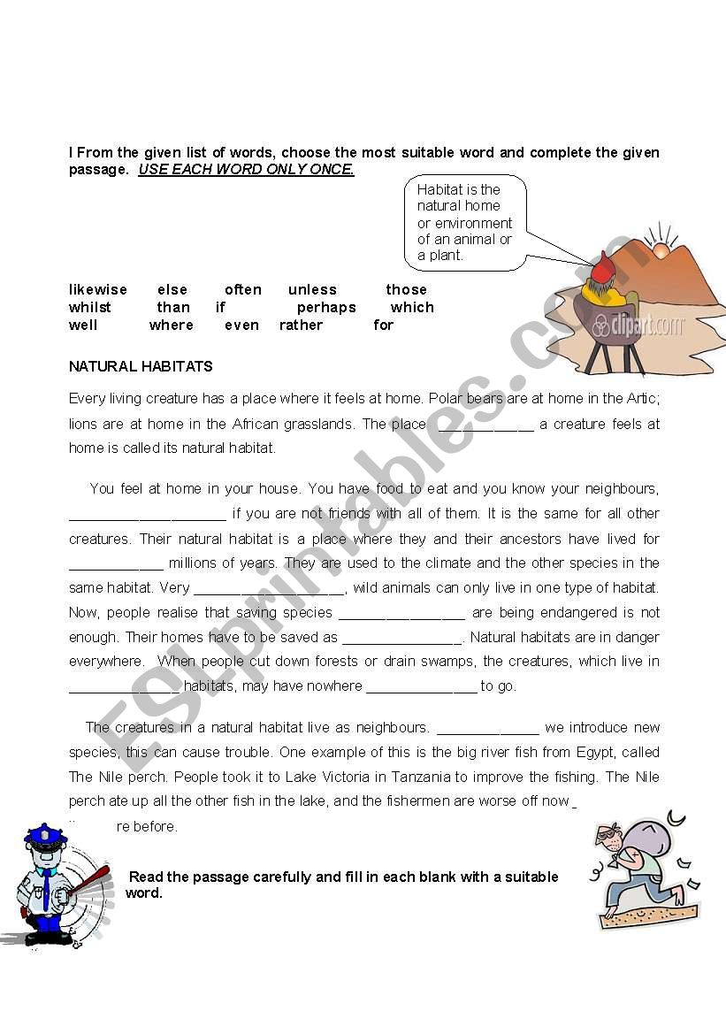 Vocabulary worksheet