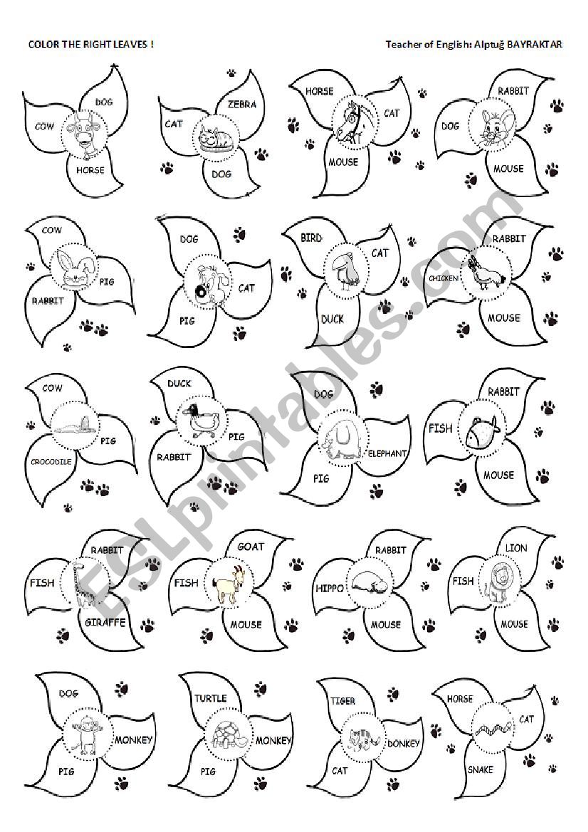 ANIMALS WORKSHEET FOR CHILDREN 2 !!!