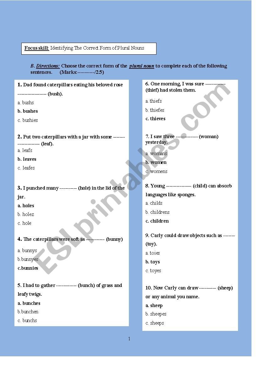 5th form grammar exam (plural nouns and possessive nouns)with answer key