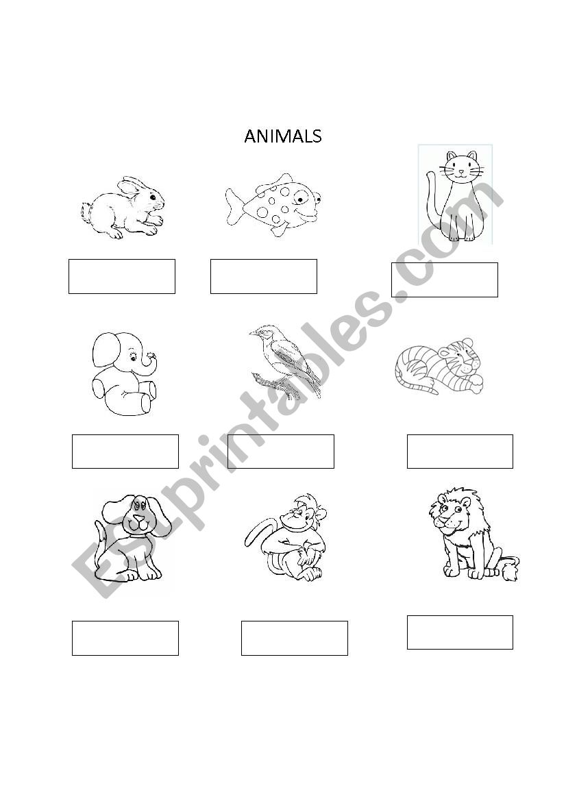 Animals worksheet