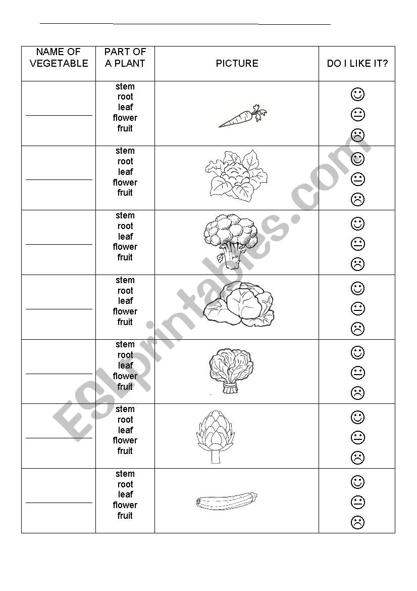 Eating plant parts worksheet