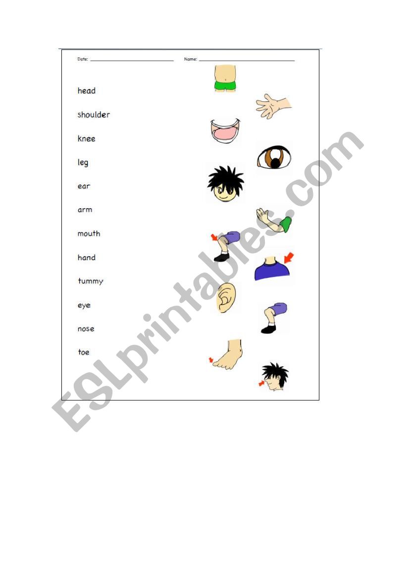 Parts of the body worksheet