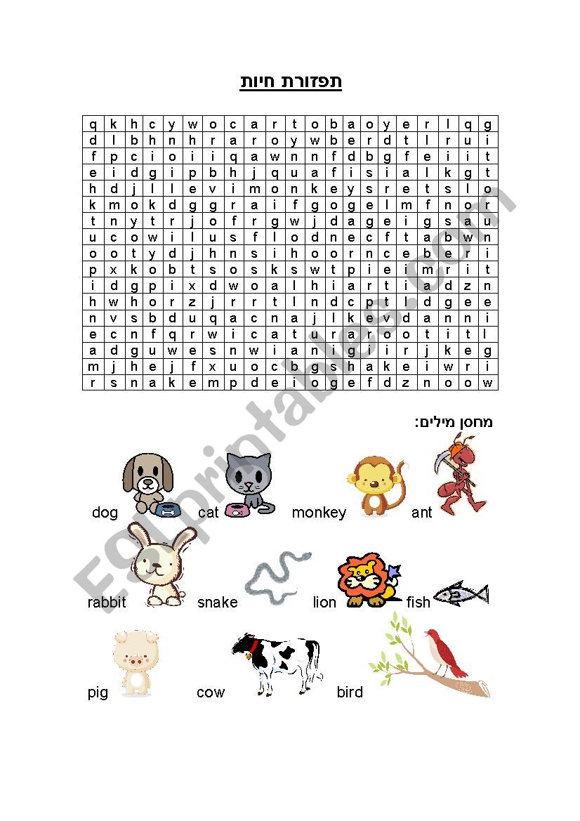 animals wordsearch with pictures