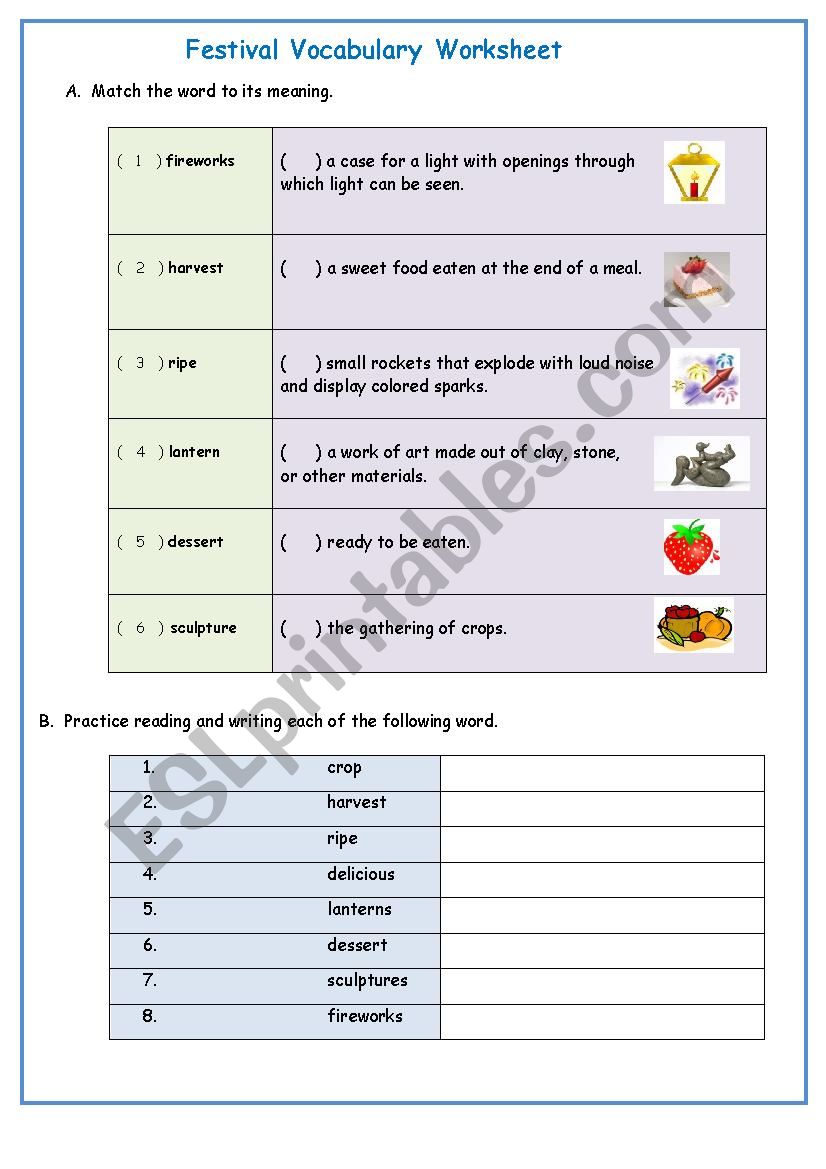 Festival  Vocabulary  worksheet