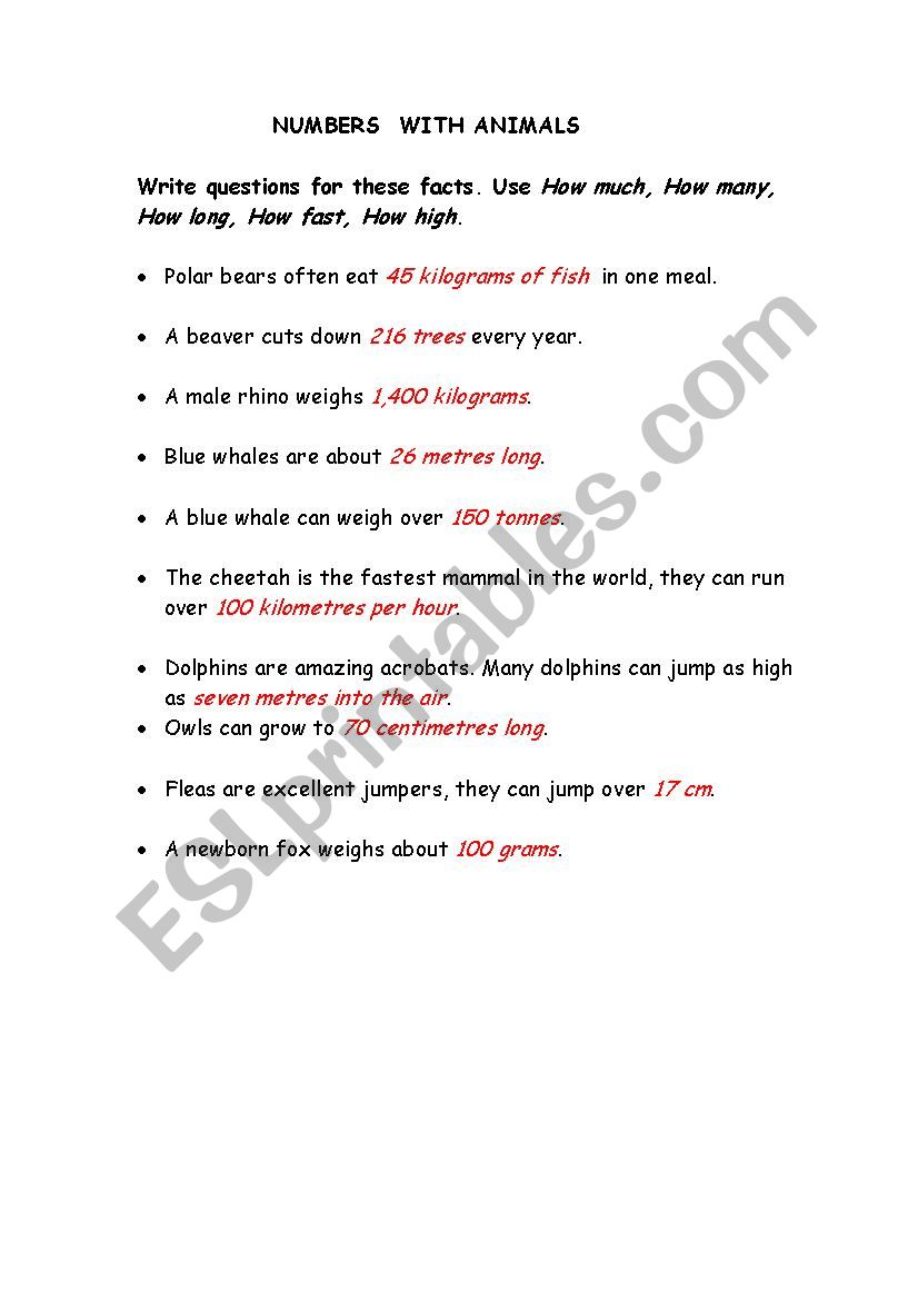 numbers with animals worksheet