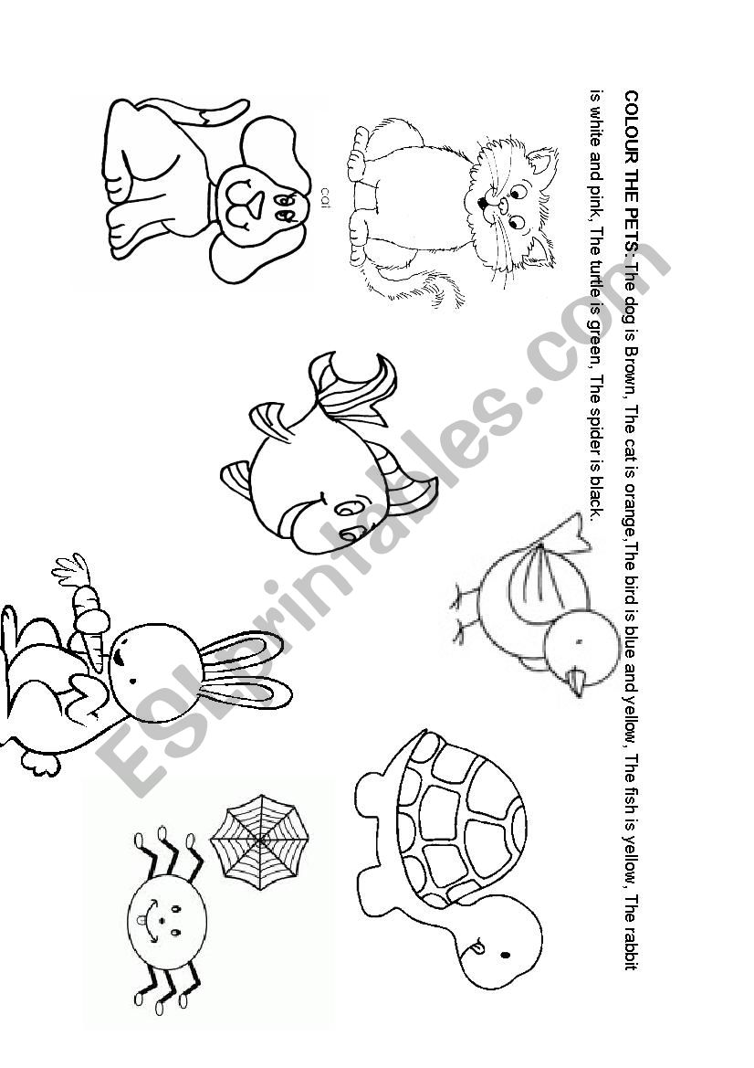 colour the pets worksheet