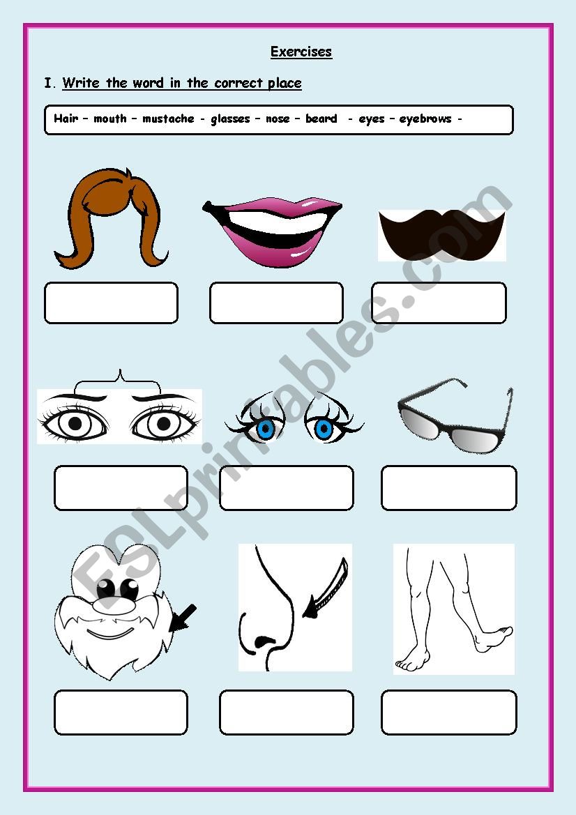 Body parts worksheet