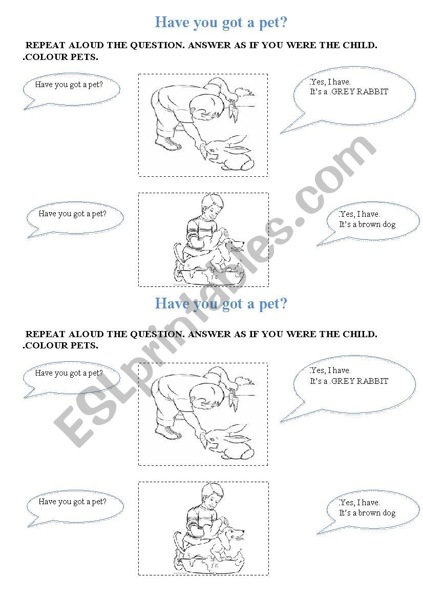 HAVE YOU GOT A PET? worksheet