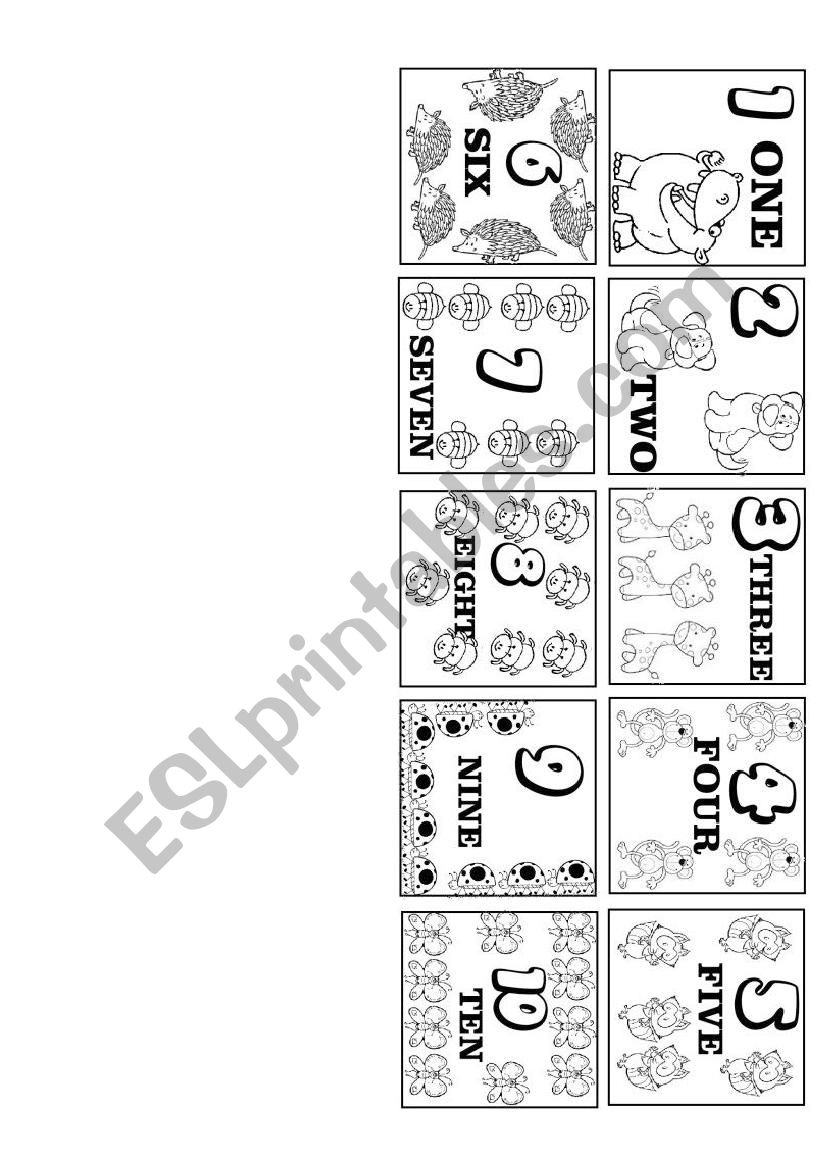 Numbers  worksheet