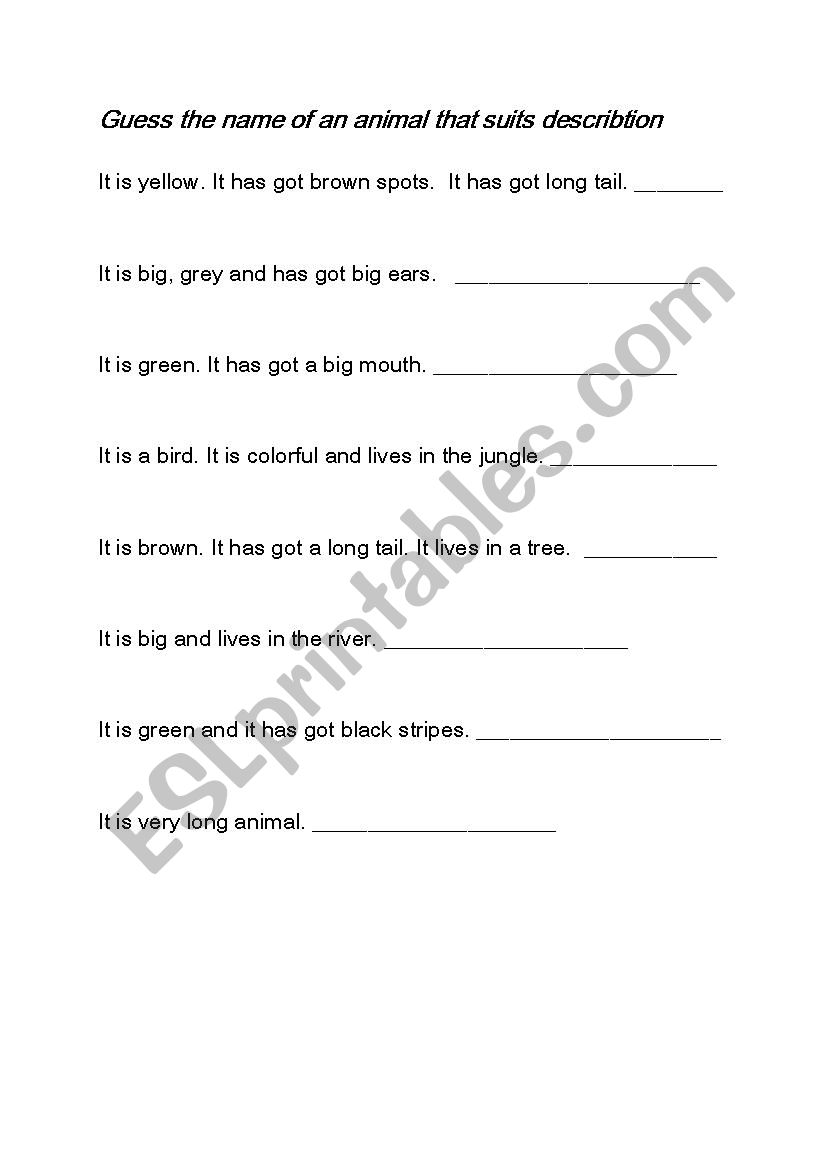 Animals worksheet