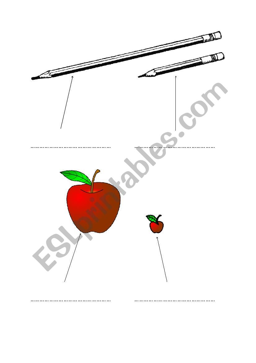 adjectives worksheet