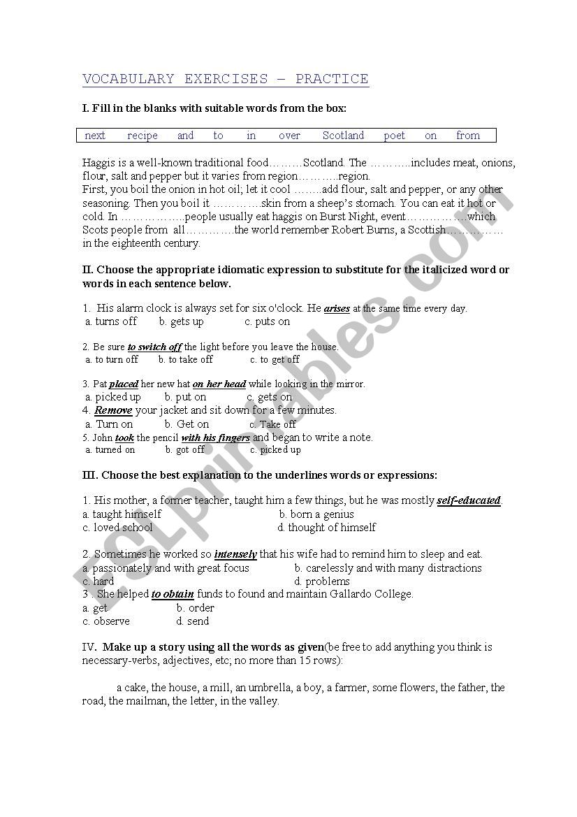 Vocabulary Exercises-Practice worksheet