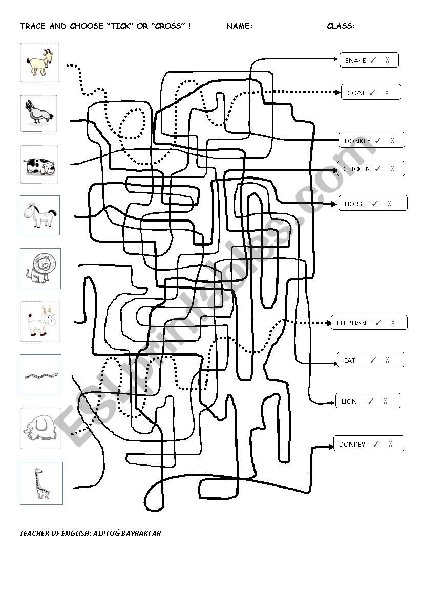 ANIMALS. TRACE AND CHOOSE TICK OR CROSS !