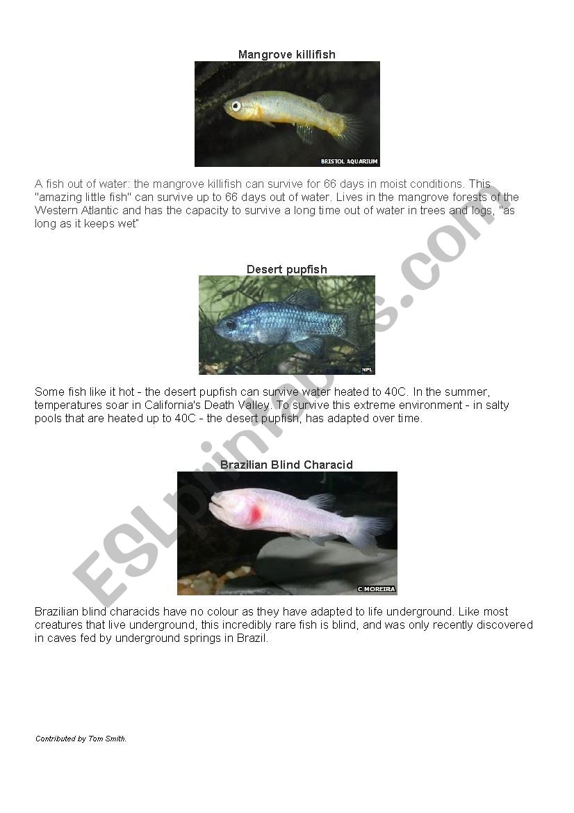 places fish live worksheet