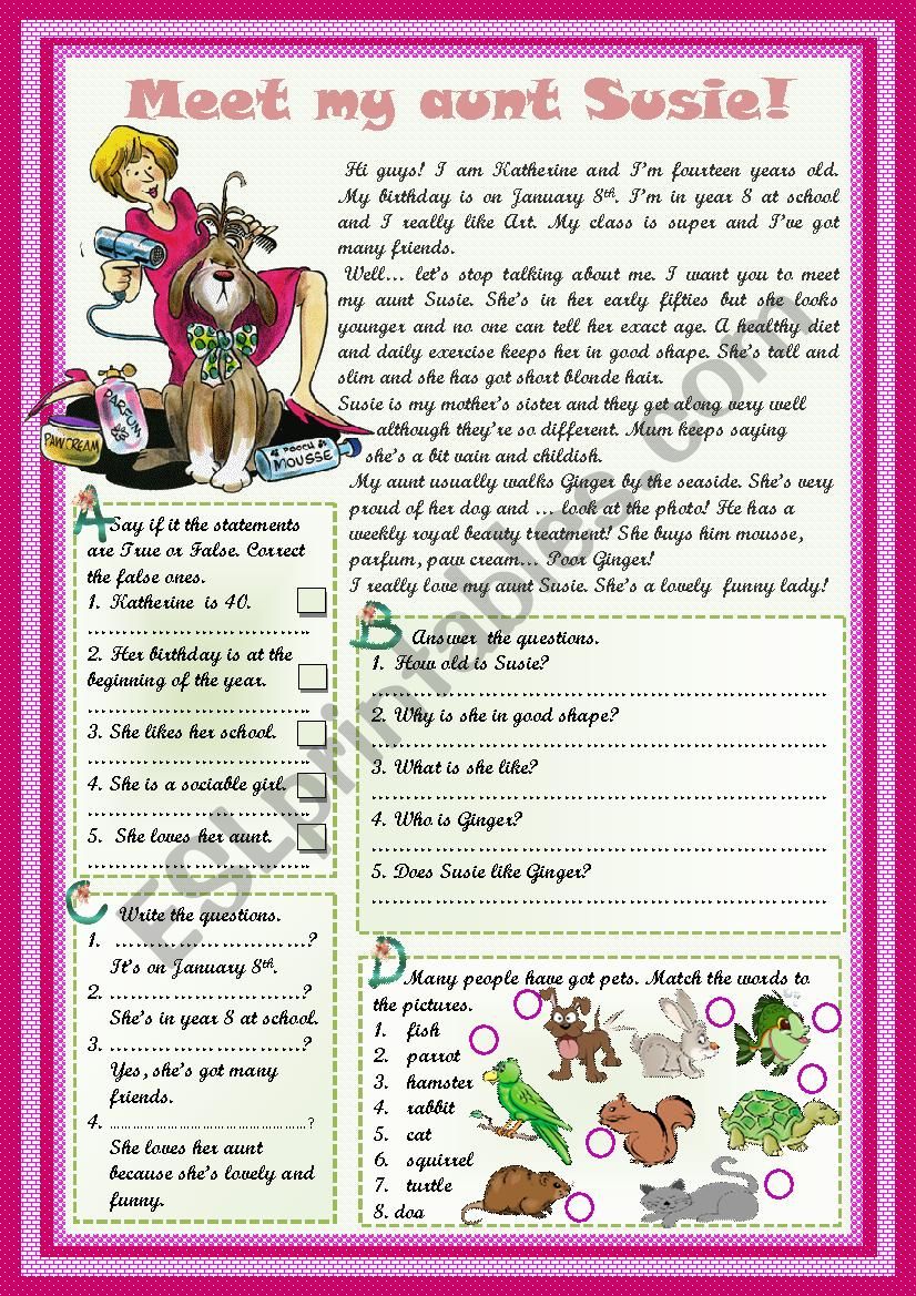 MEET MY AUNT SUSIE! - Reading worksheet