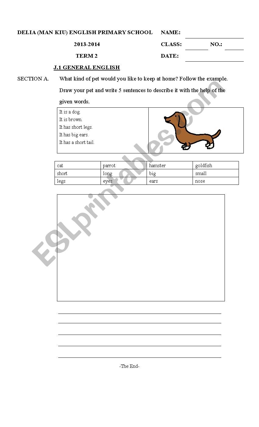 My pet worksheet