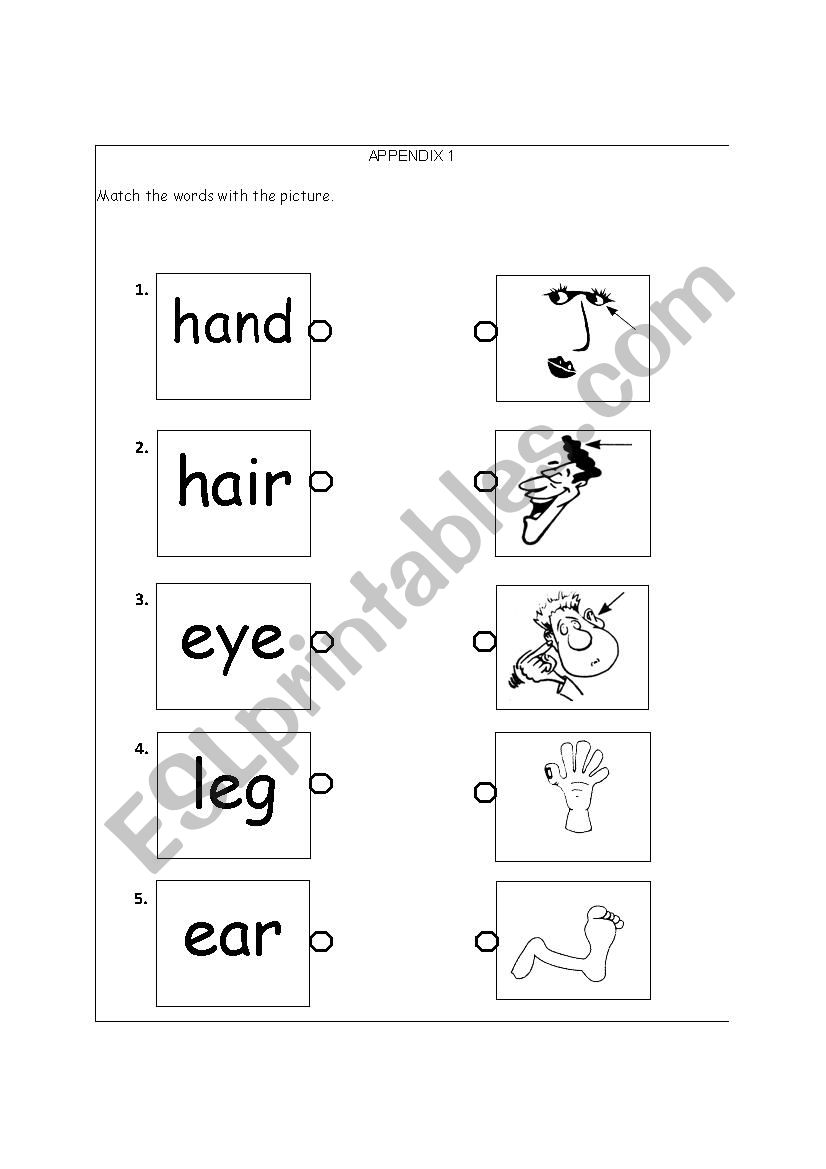 body parts worksheet