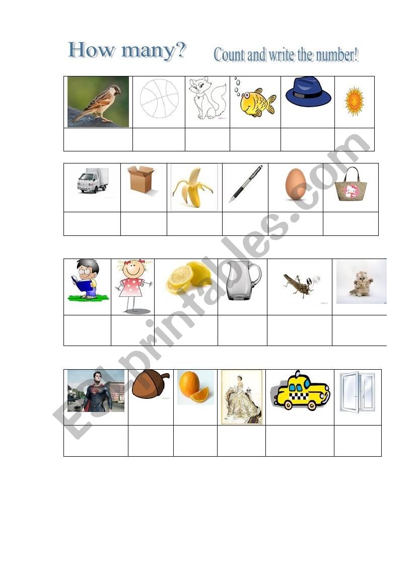 Count and Write! worksheet