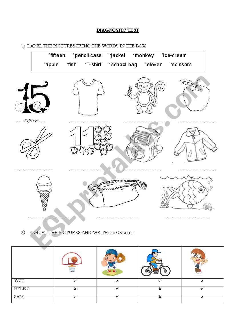 DIAGNOSTIC TEST: Vocabulary and verb CAN