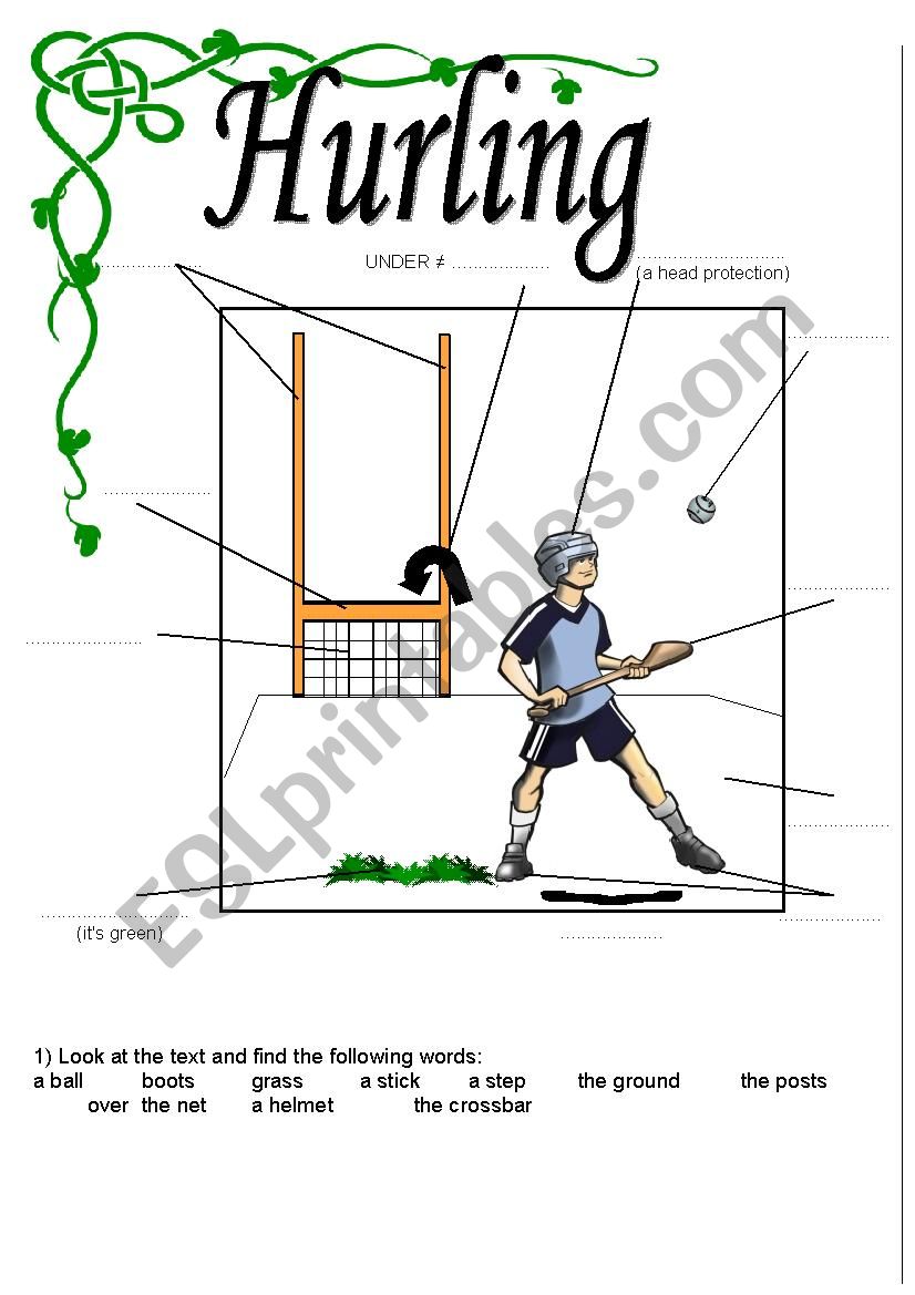 an irish sport HURLING worksheet