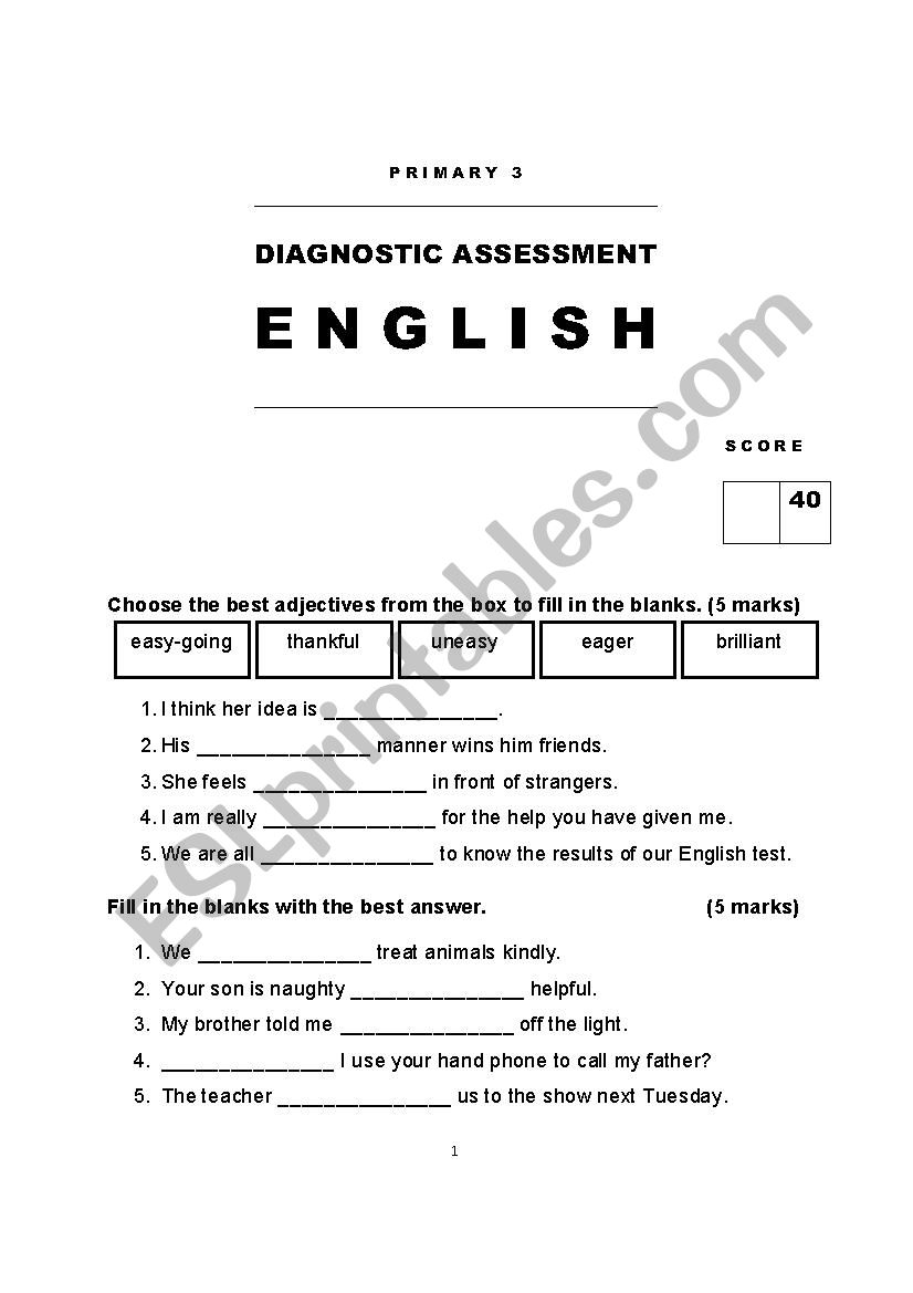 Primary / Year 3 Diagnostics Assessment