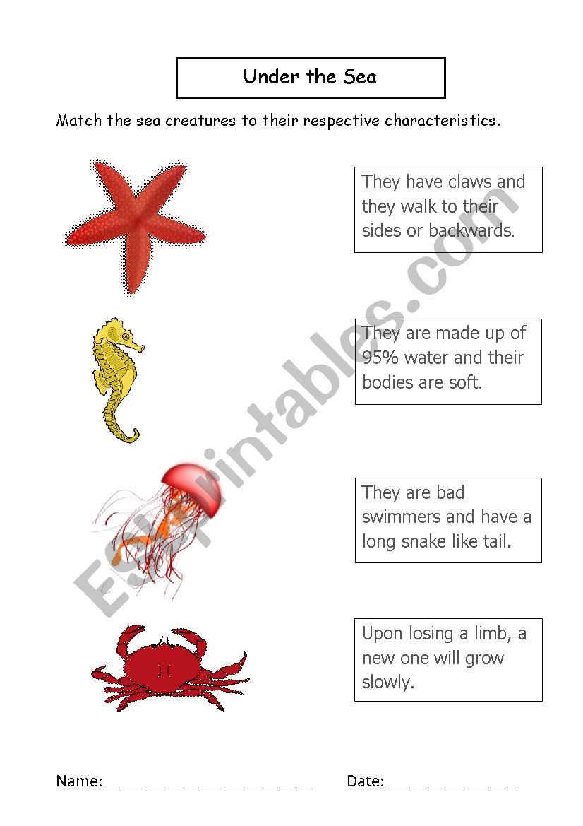 Under the Sea 1 worksheet