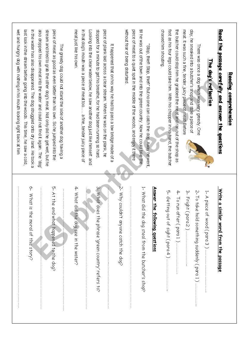 reading comprehension worksheet