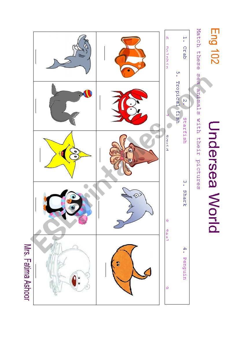 sea animals worksheet