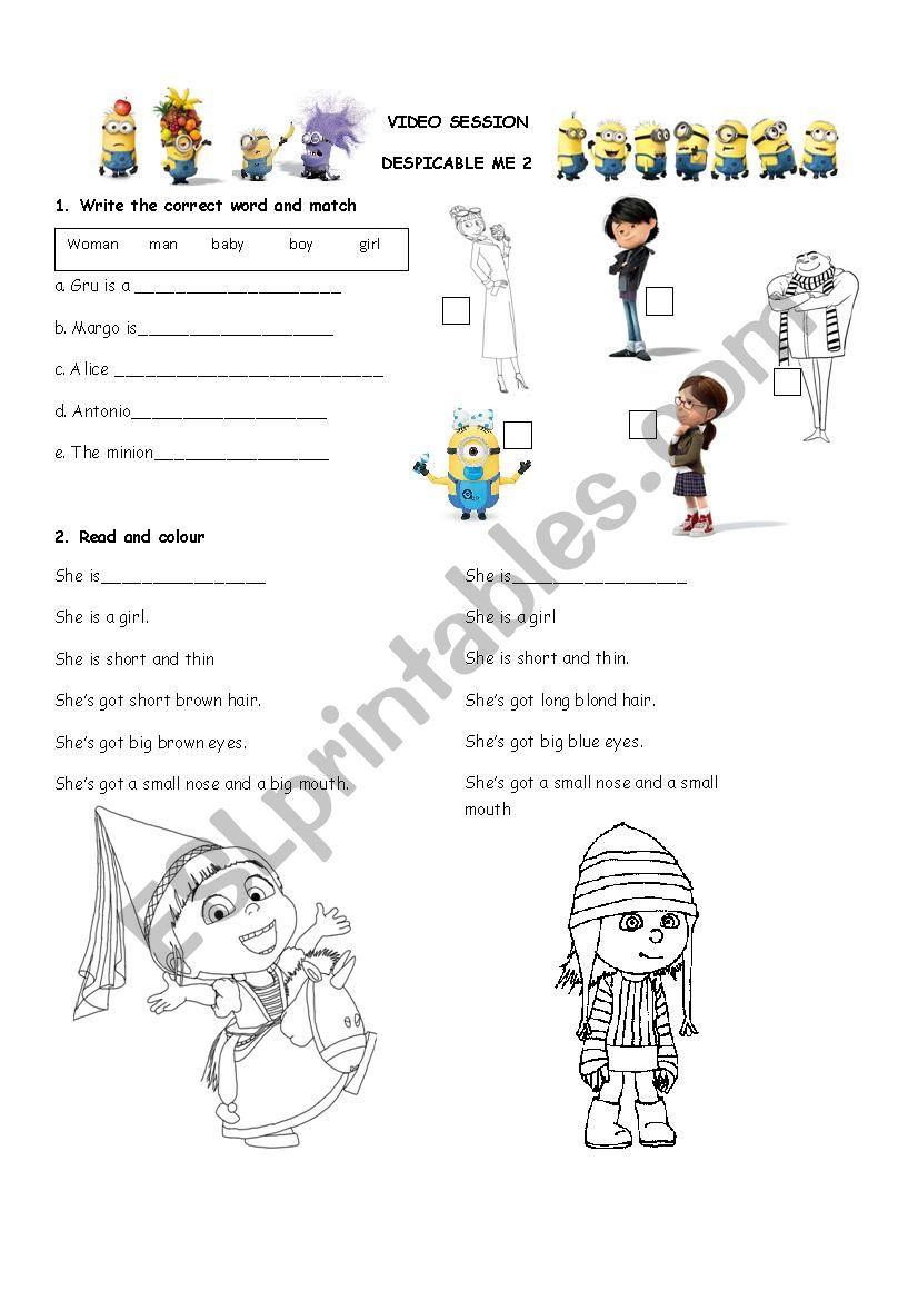 despicable me worksheet