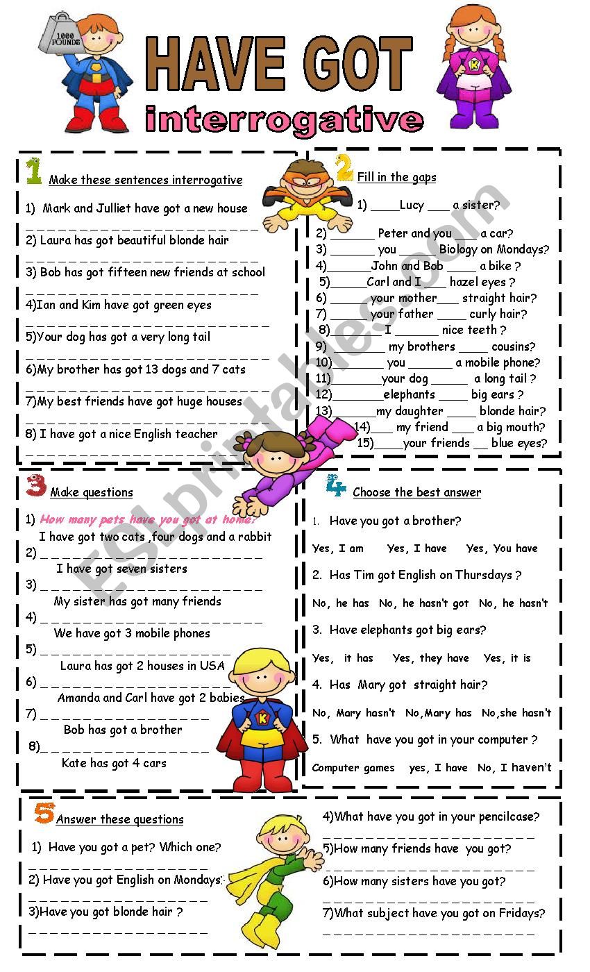 have got-interrogative worksheet