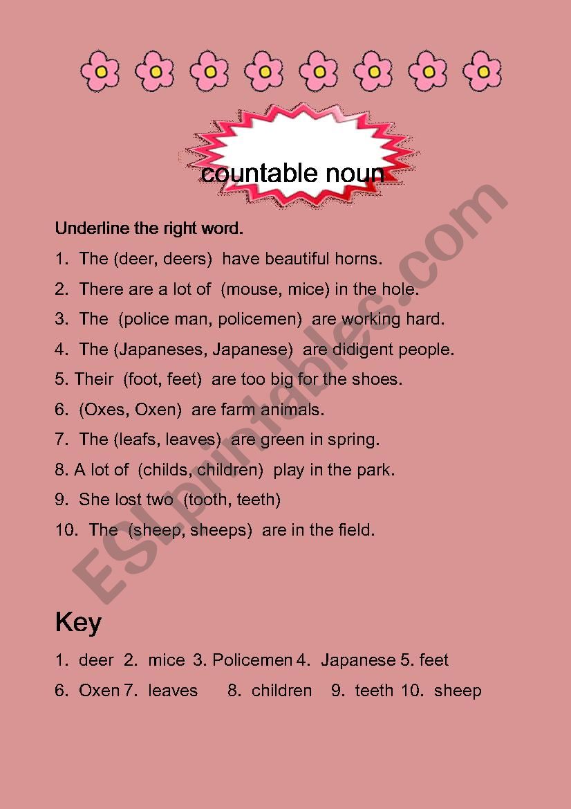 countable noun worksheet