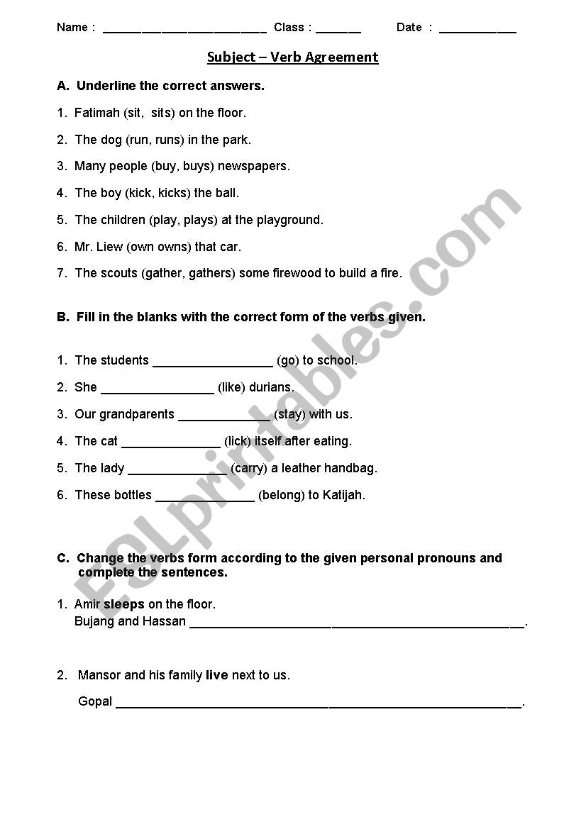 Subject - Verb Agreement worksheet