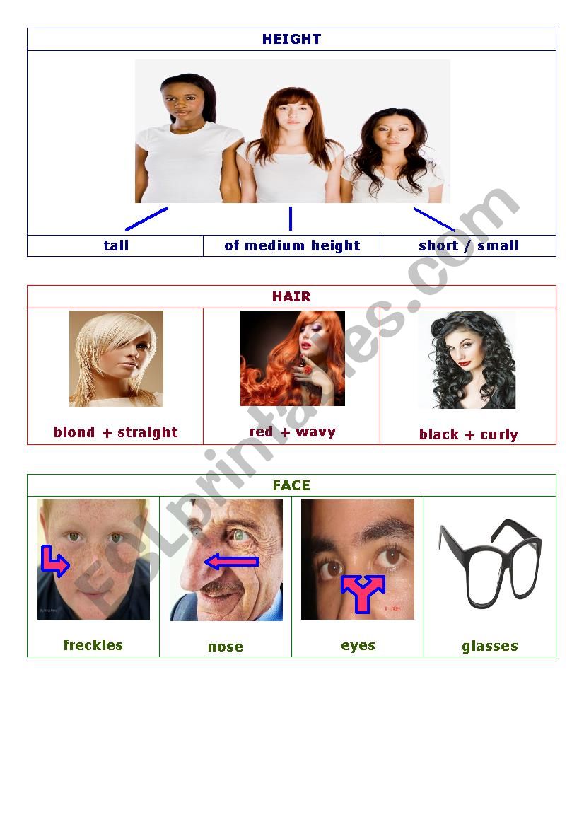 Physical description worksheet