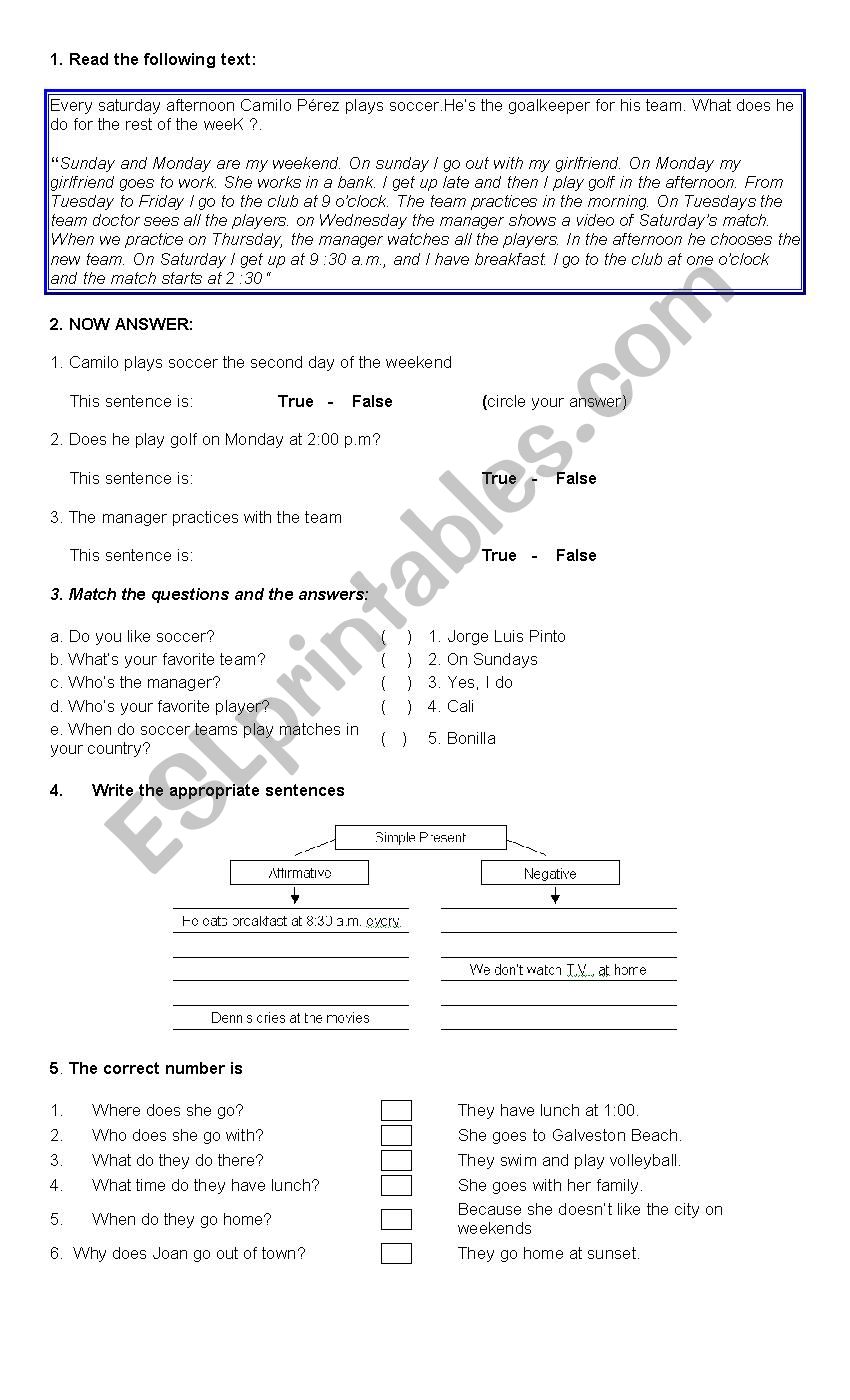 Simple Present worksheet