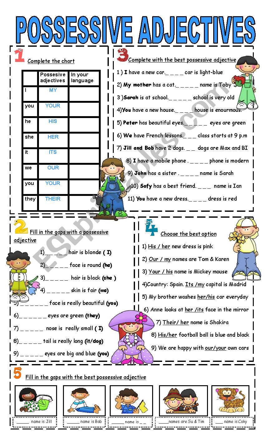 Possessive adjectives worksheet