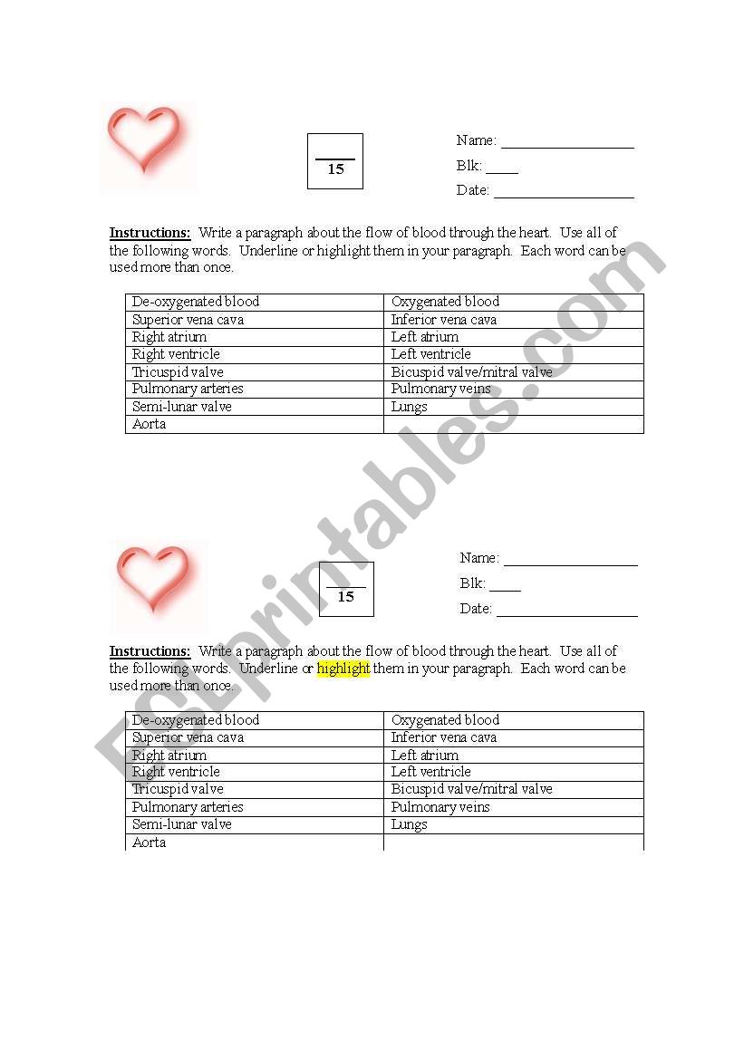 Blood Flow Through the Heart worksheet