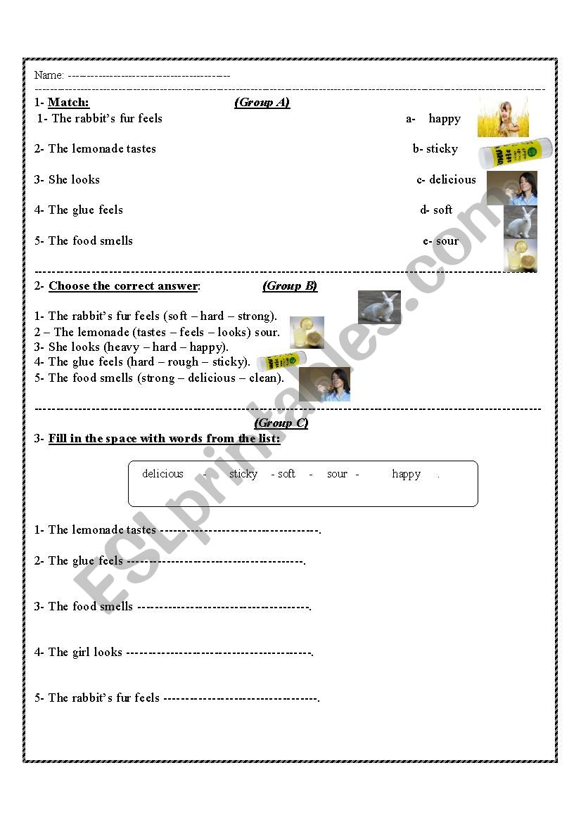 describing objects through senses