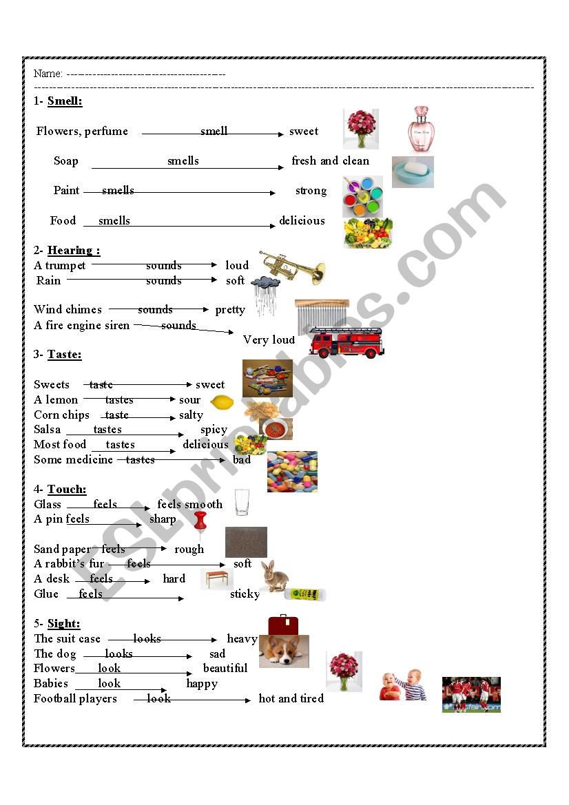 describing objects through senses