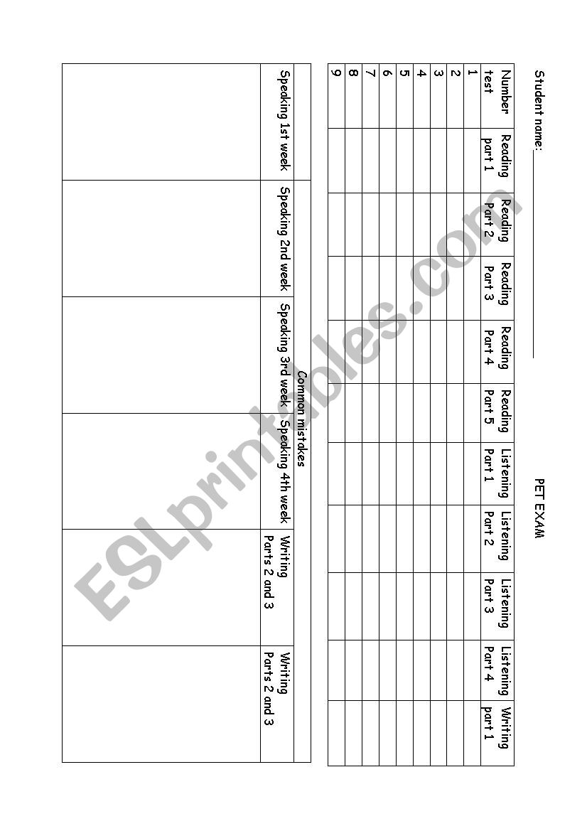 pet test control of mistakes worksheet