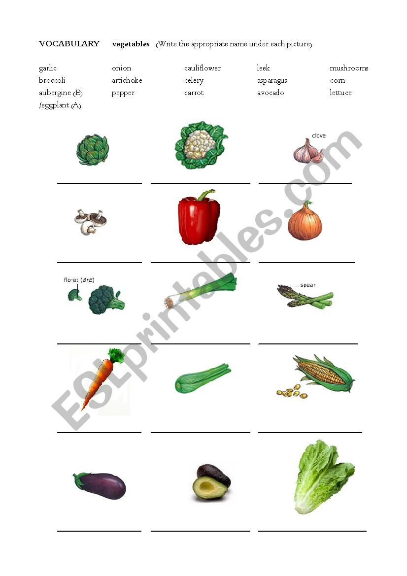 Vocabulary Vegetables worksheet