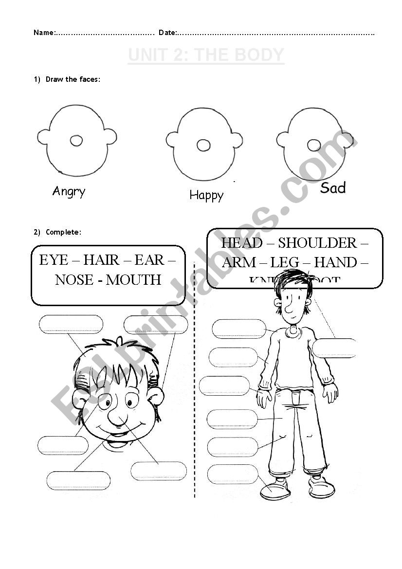 Exam the Body worksheet