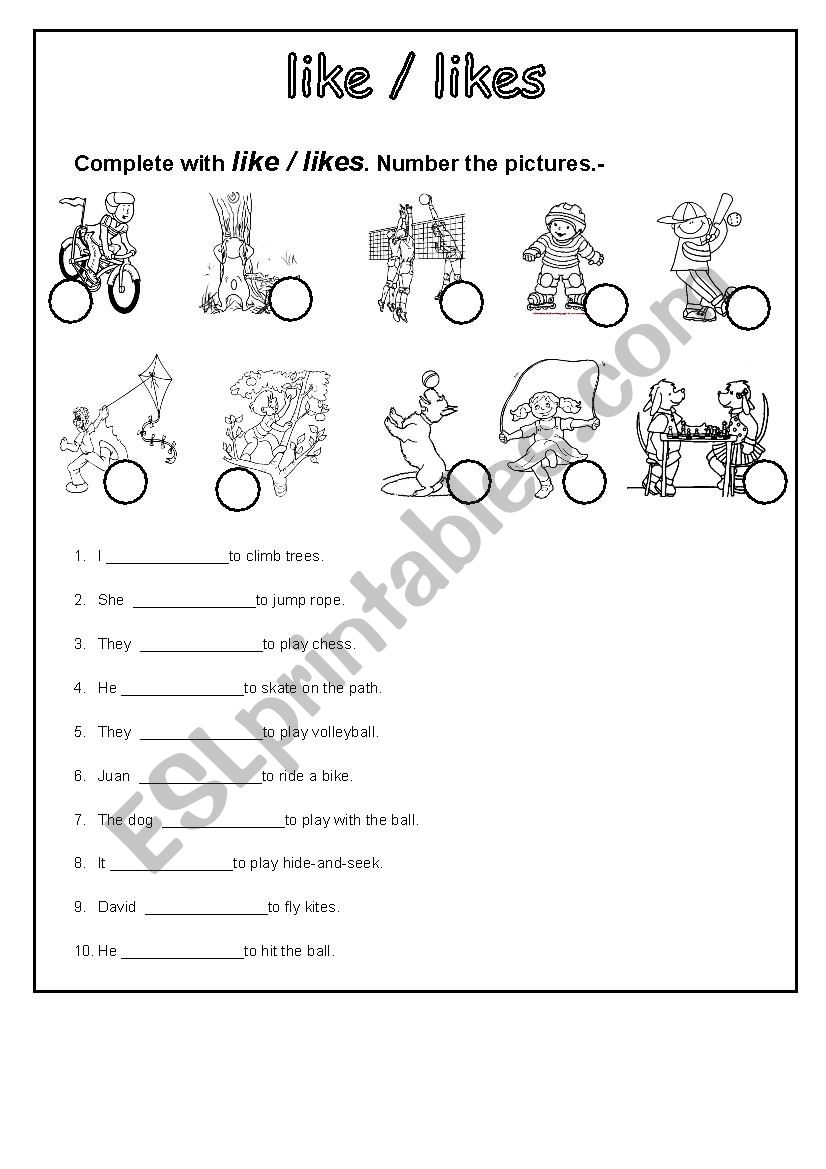 PREFERENCES worksheet