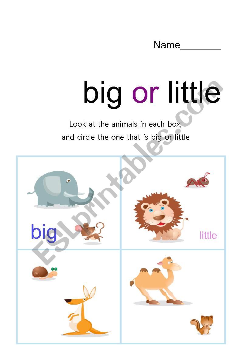 big and little worksheet