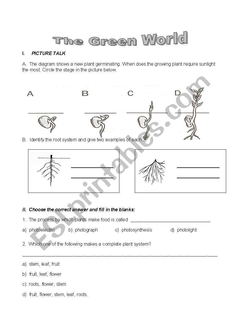Plant Life worksheet