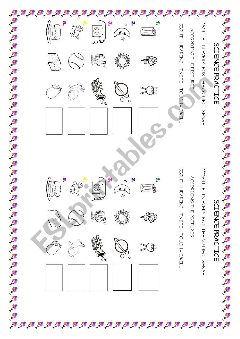 sense practice worksheet