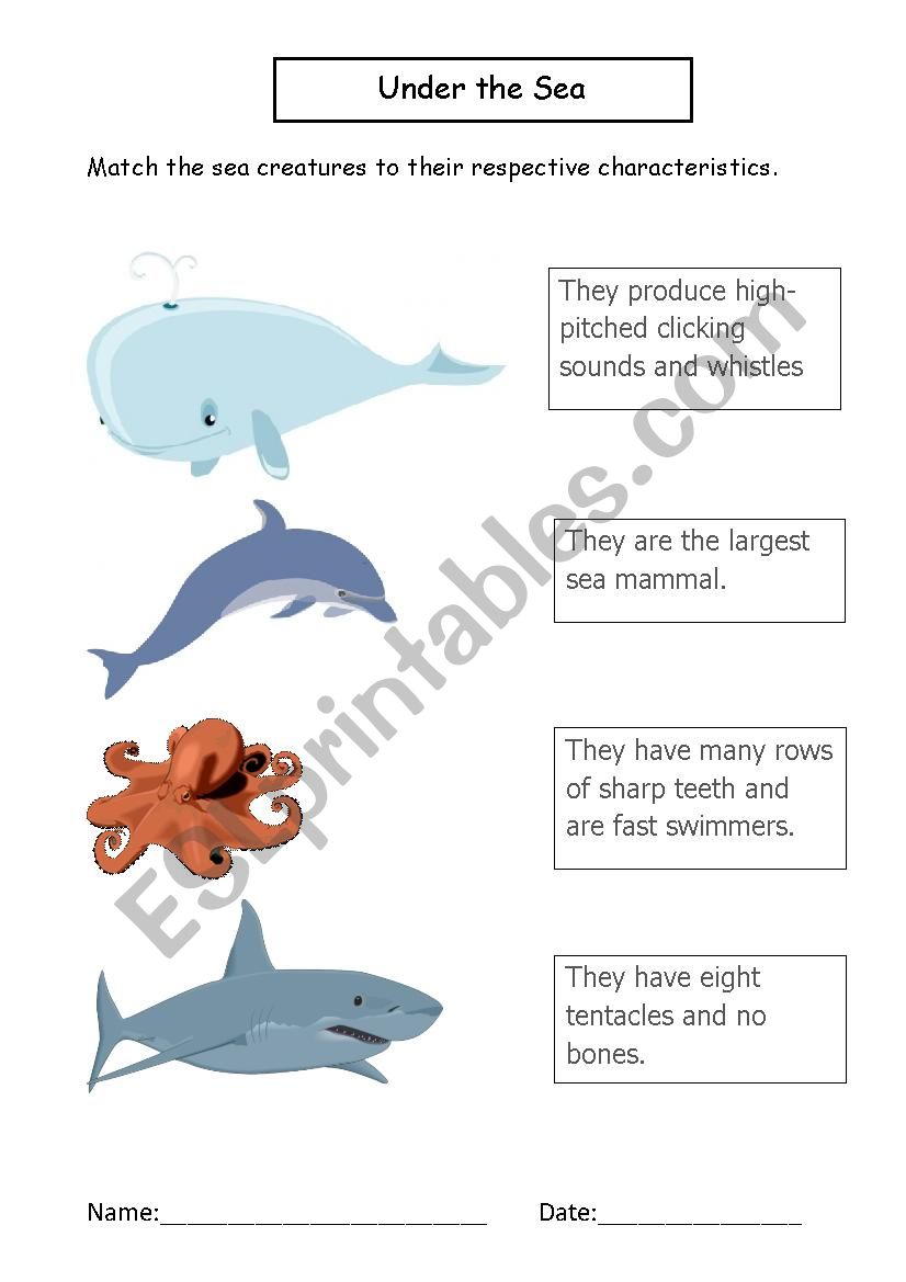 Under the Sea 1 worksheet