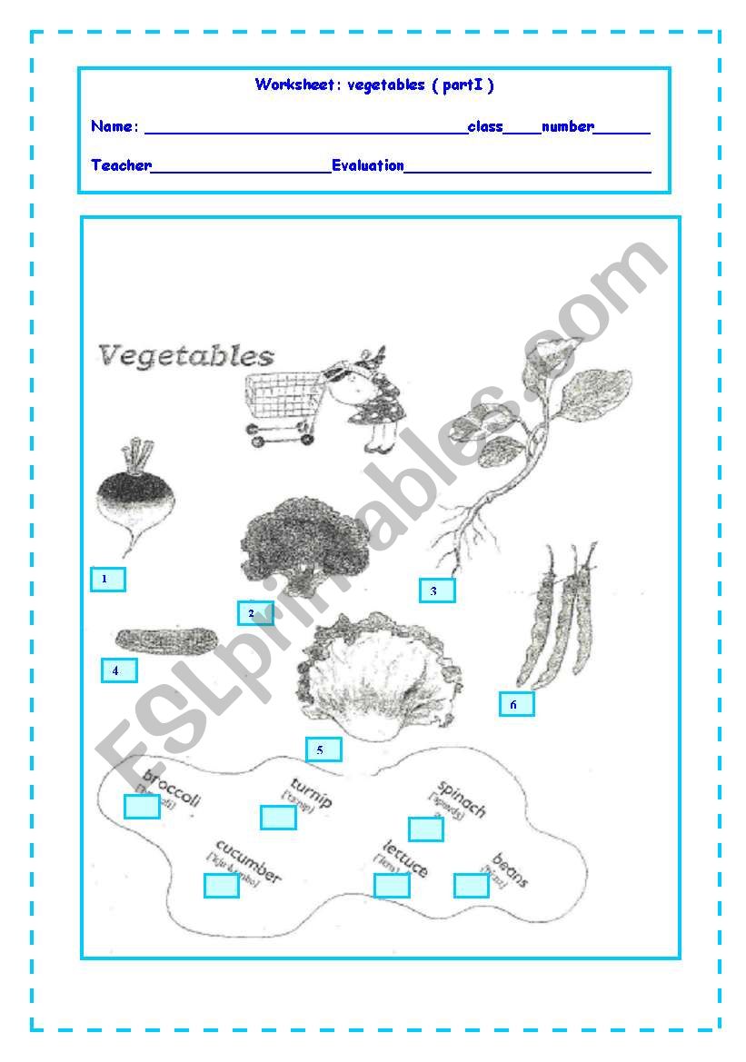 vegetables_part 1 worksheet